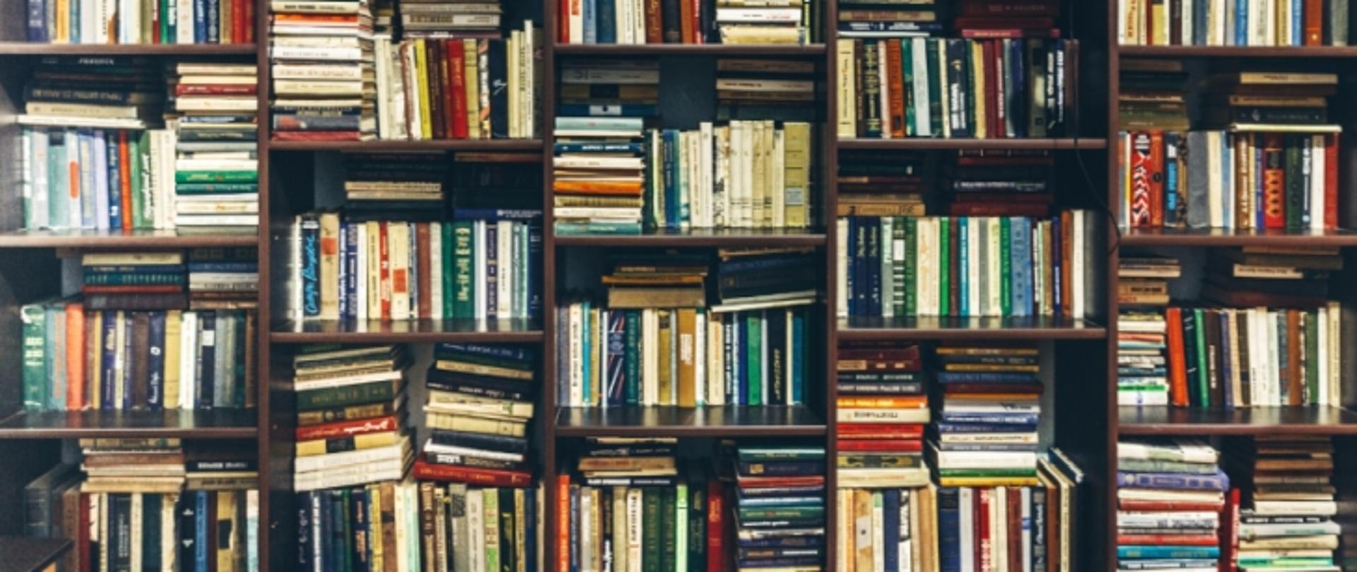 Zdjęcie przedstawiające książki ułożone na półkach szafki bibliotecznej.