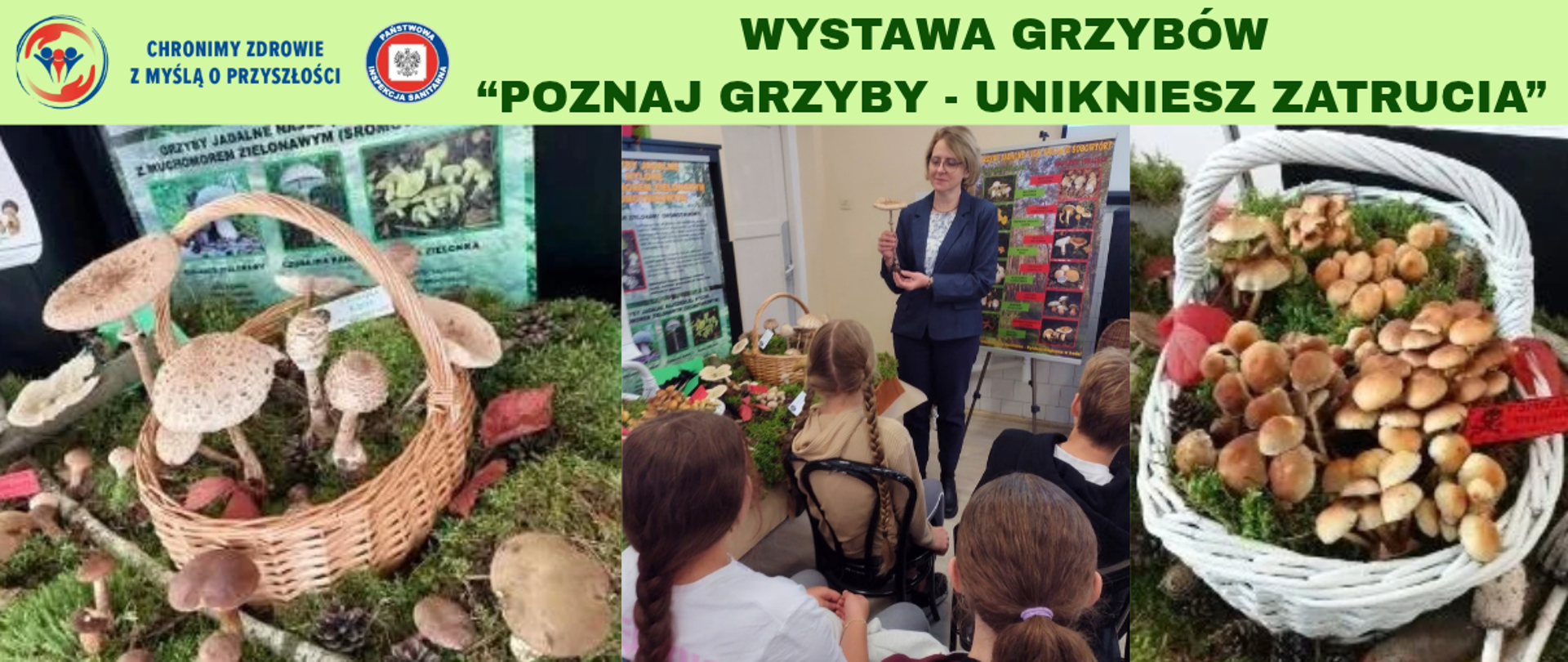 Poznaj grzyby – unikniesz zatrucia