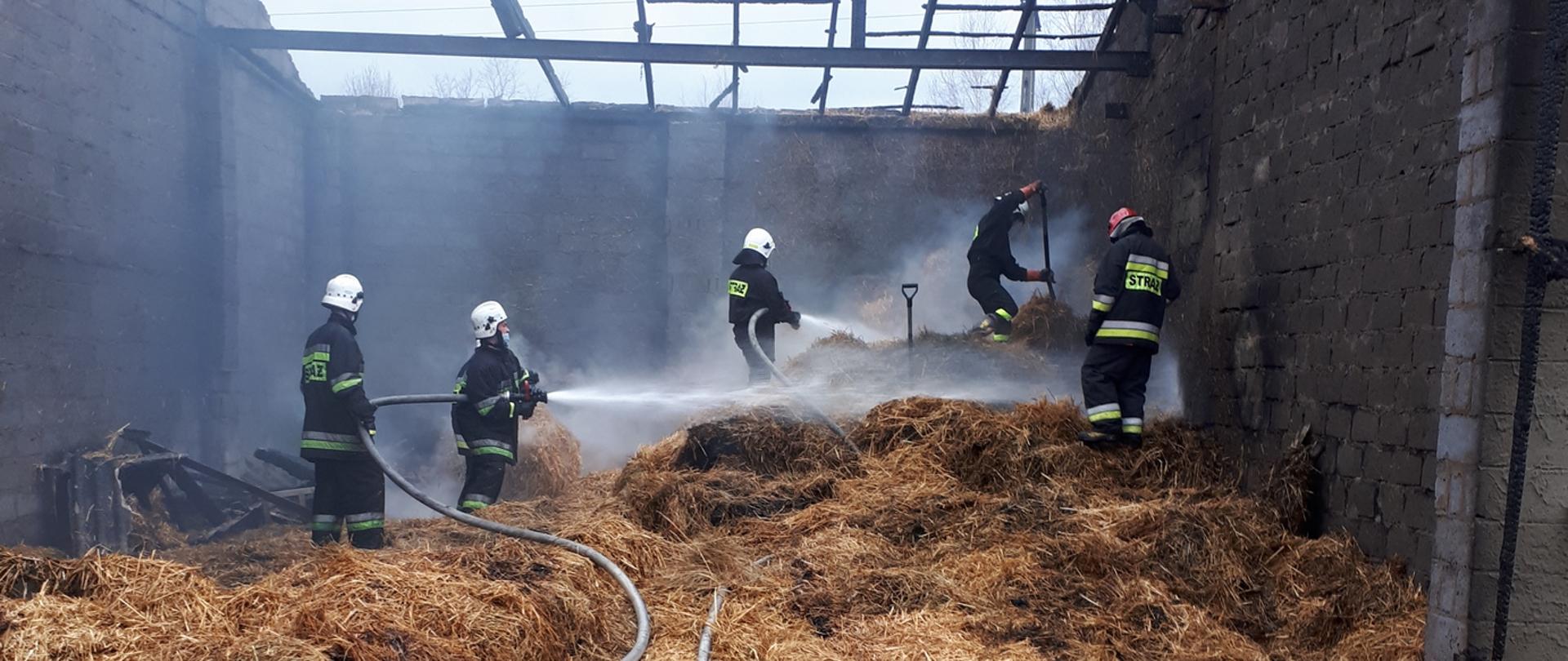 Zdjęcie przedstawia strażaków OSP podczas dogaszania pożaru stodoły.