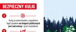 Grafika mówiąca o bezpieczeństwie podczas kuligu