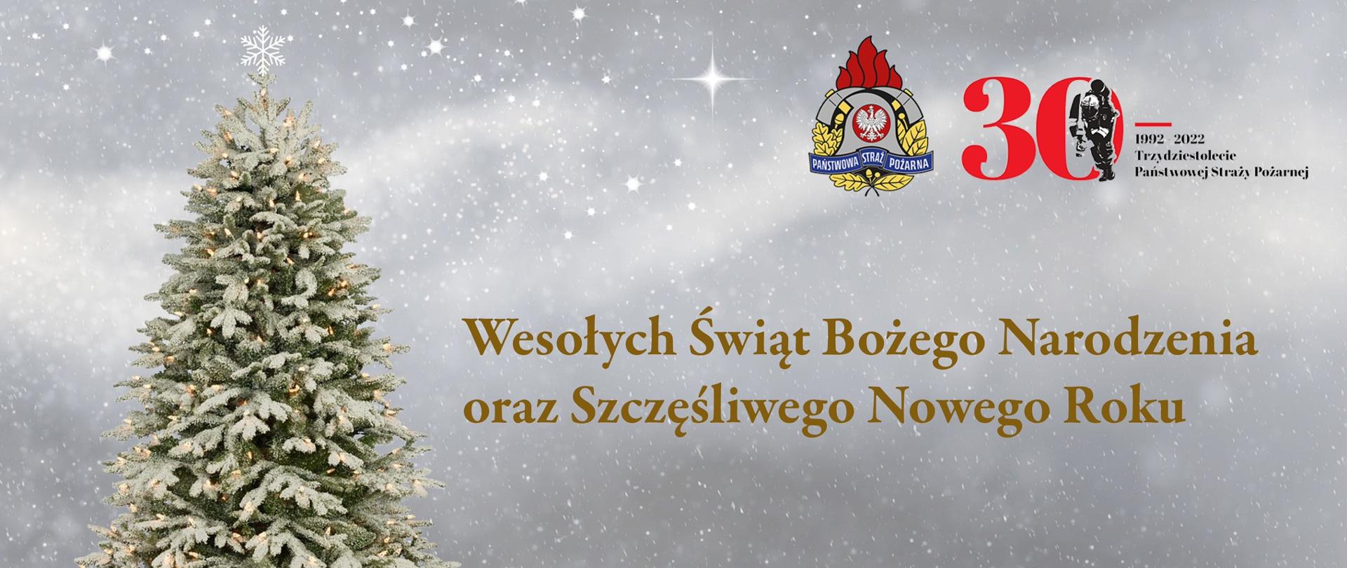 Wesołych Świąt Bożego Narodzenia oraz Szczęśliwego Nowego Roku