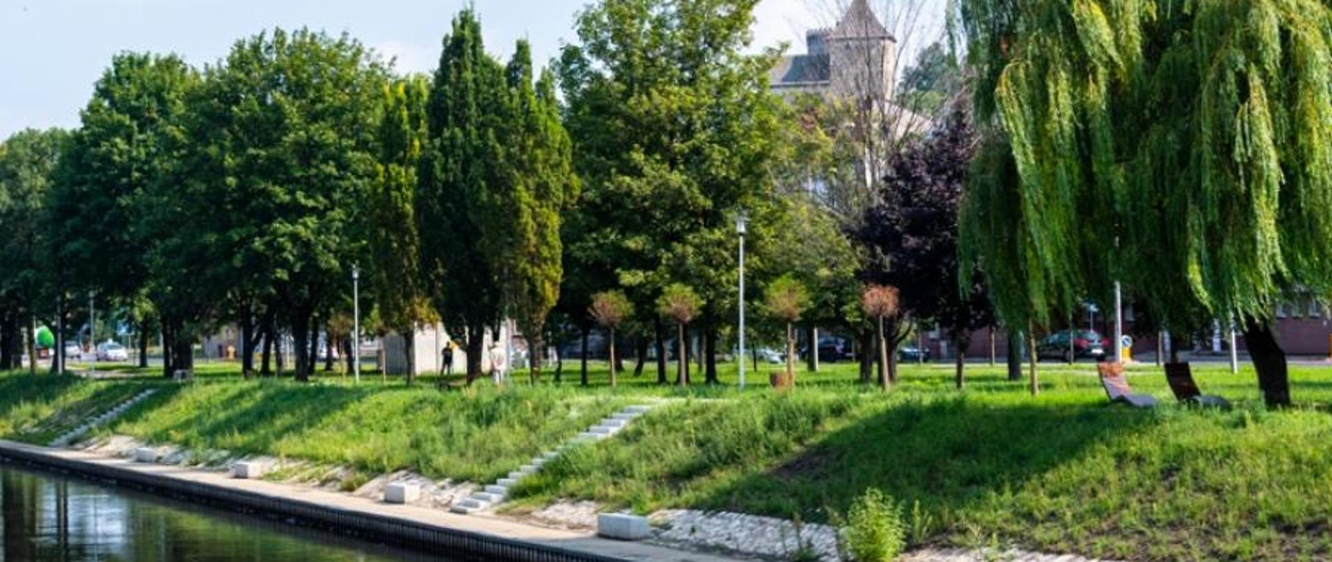 Bulwary Czarnej Przemszy w Będzinie