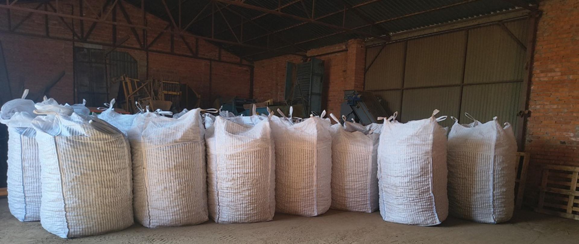 Sadzeniaki ziemniaka