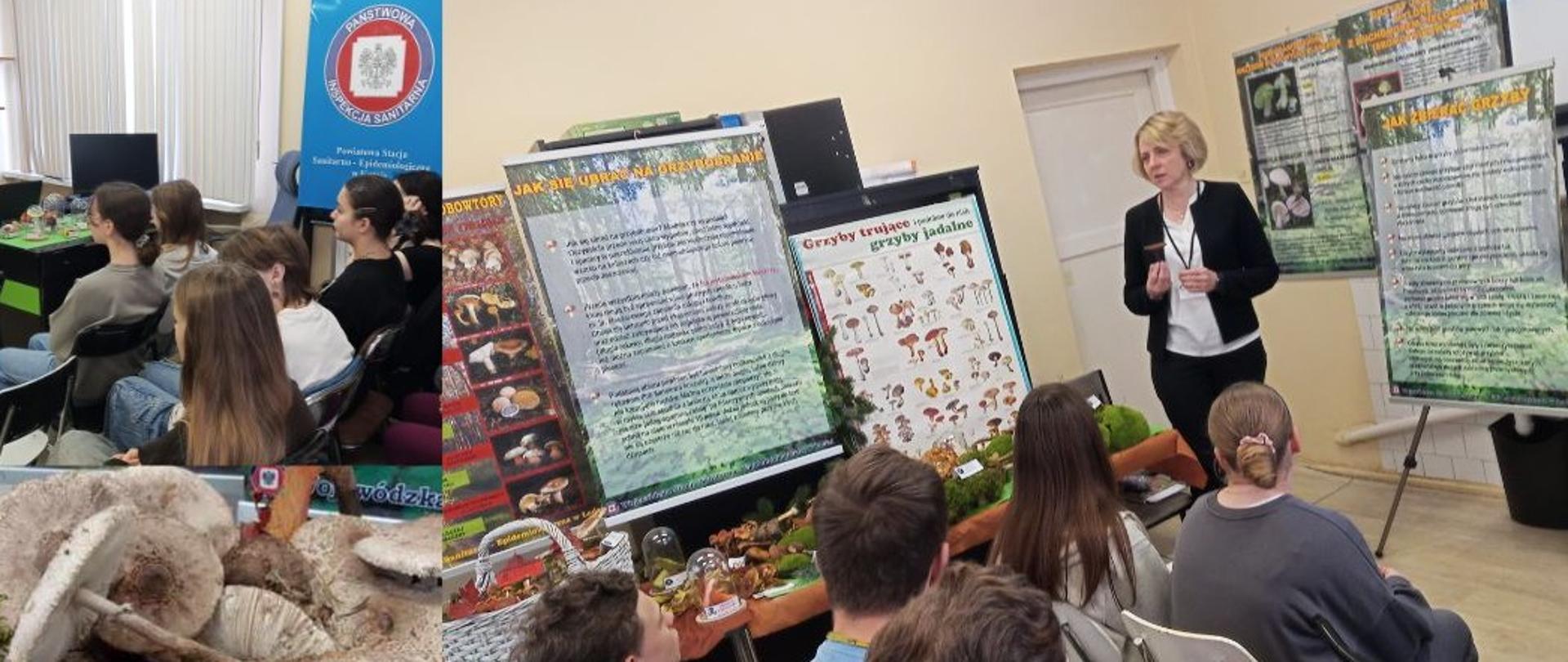 Poznaj grzyby – unikniesz zatrucia