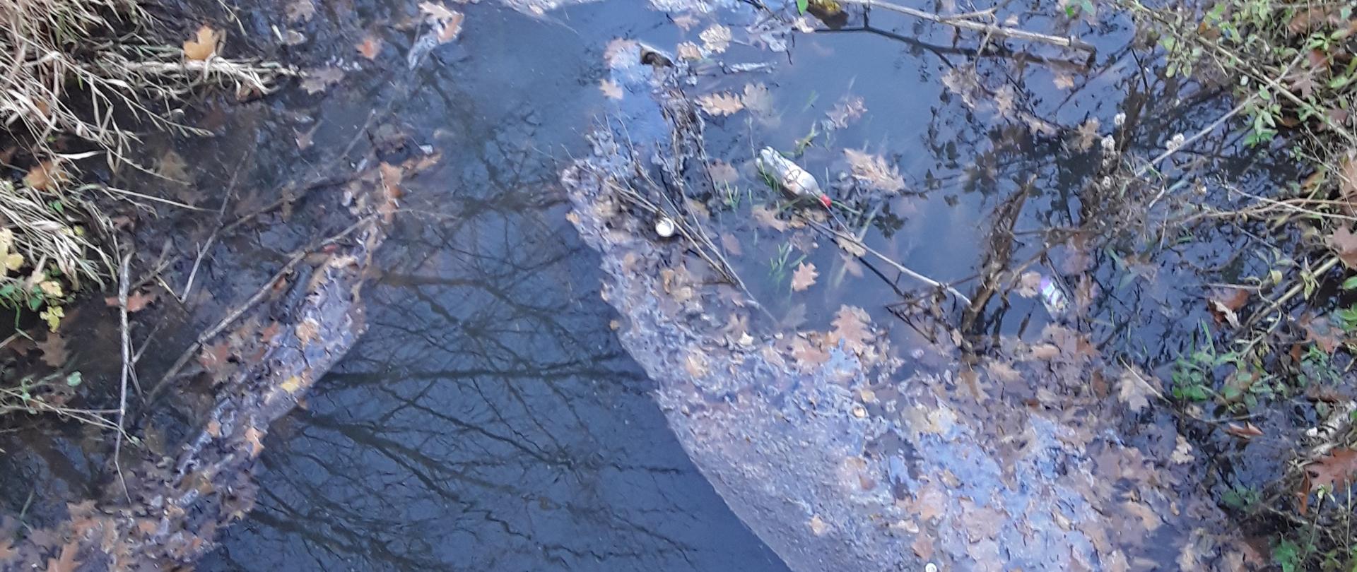 Zanieczyszczony ciek wodny o szerokości około 1 m, którego powierzchnia pokryta jest ciemną, oleistą substancją. W wodzie unoszą się liście oraz biała piana. Roślinność wokół brzegu jest zeschnięta i porośnięta chwastami. 