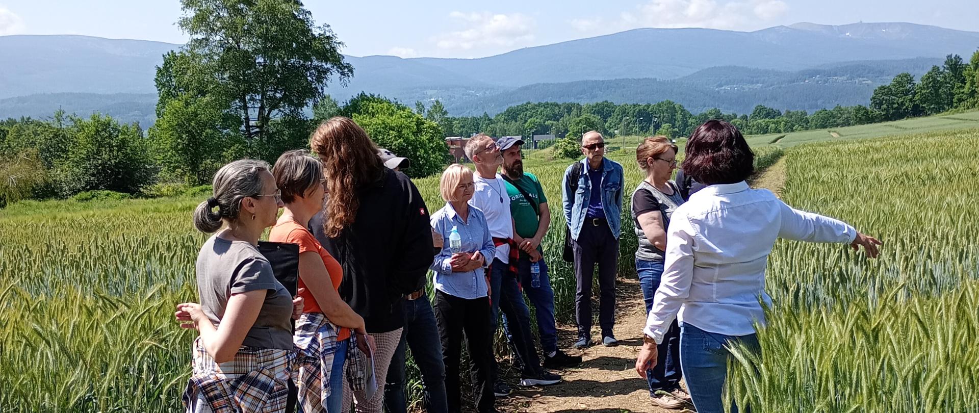 Grupa uczestników na polu z uprawą zboża