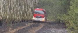 Samochód gaśniczy pośród lasu przejeżdżający przez wypaloną ściółkę leśną.