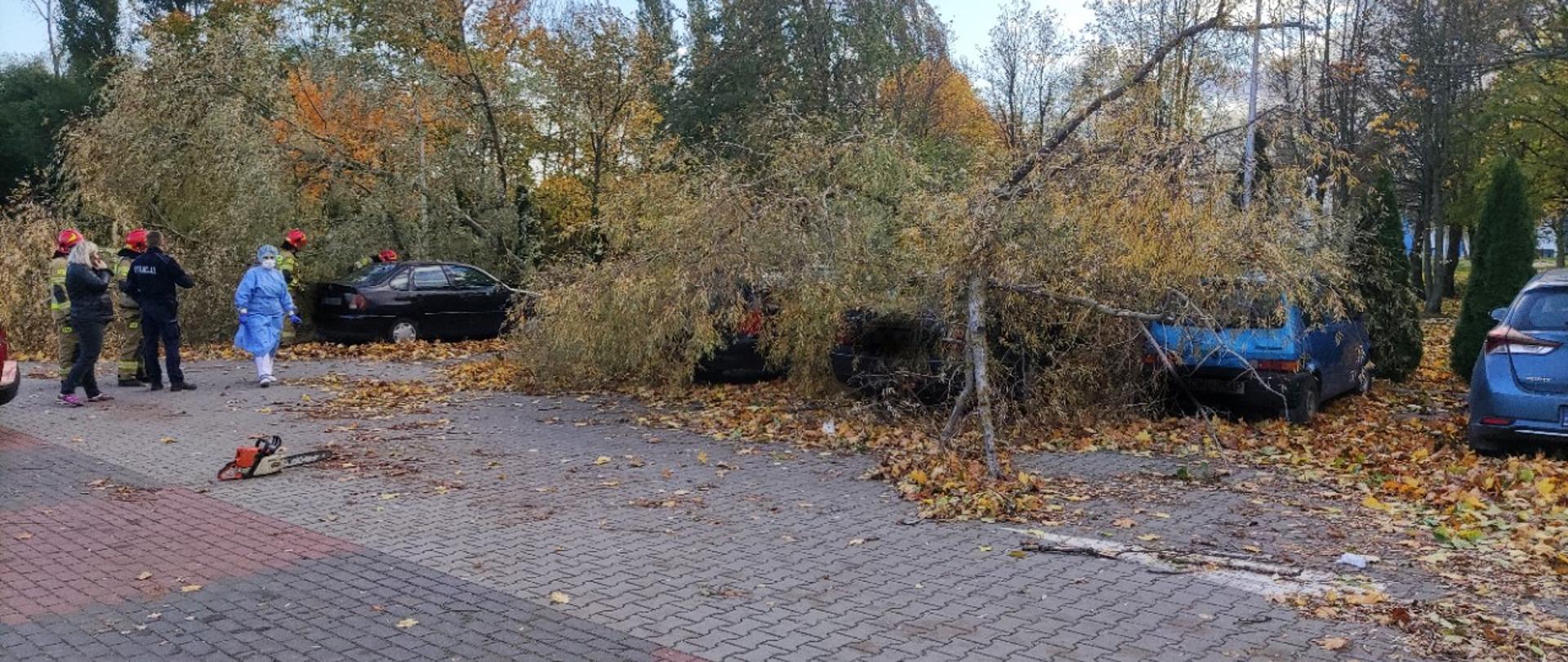 Zdjęcie przedstawia parking Samodzielnego Publicznego Zakładu Opieki Zdrowotnej w Radziejowie, Samochody osobowe, na które przewróciły się drzewa, pracownika szpitala w ubraniu, policjantów oraz strażaków podczas działań usuwania powalonych drzew.