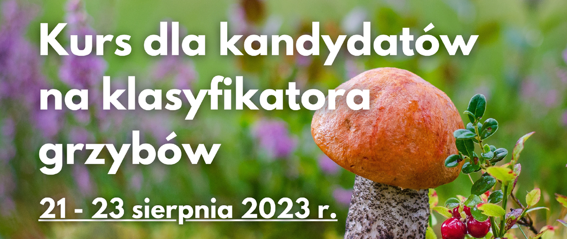 Baner ze zdjęciem na pierwszym planie po lewej grzyb, zielone tło, po prawej biały napis: "Kurs dla kandydatów na klasyfikatorów grzybów świeżych 21 - 23 sierpnia 2023 r."