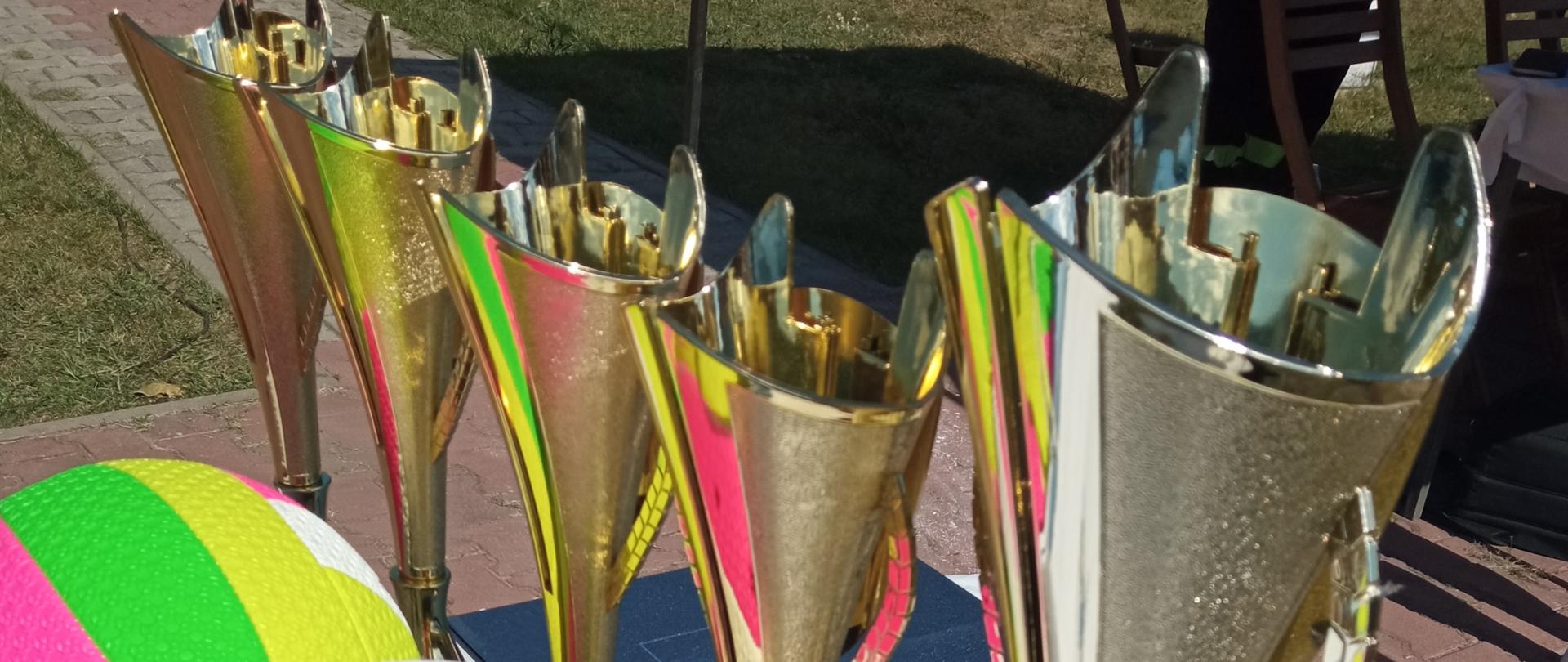 Na zdjęciu widać nagrody, które mają otrzymać zwycięzcy zawodów. Na stoliku przykrytym białym obrusem stoi 5 pucharów koloru złotego oraz torby papierowe z upominkami. 