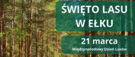 Plakat Święto Lasu