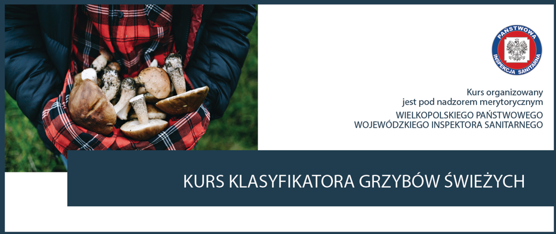 kurs na klasyfikatora gzybów
