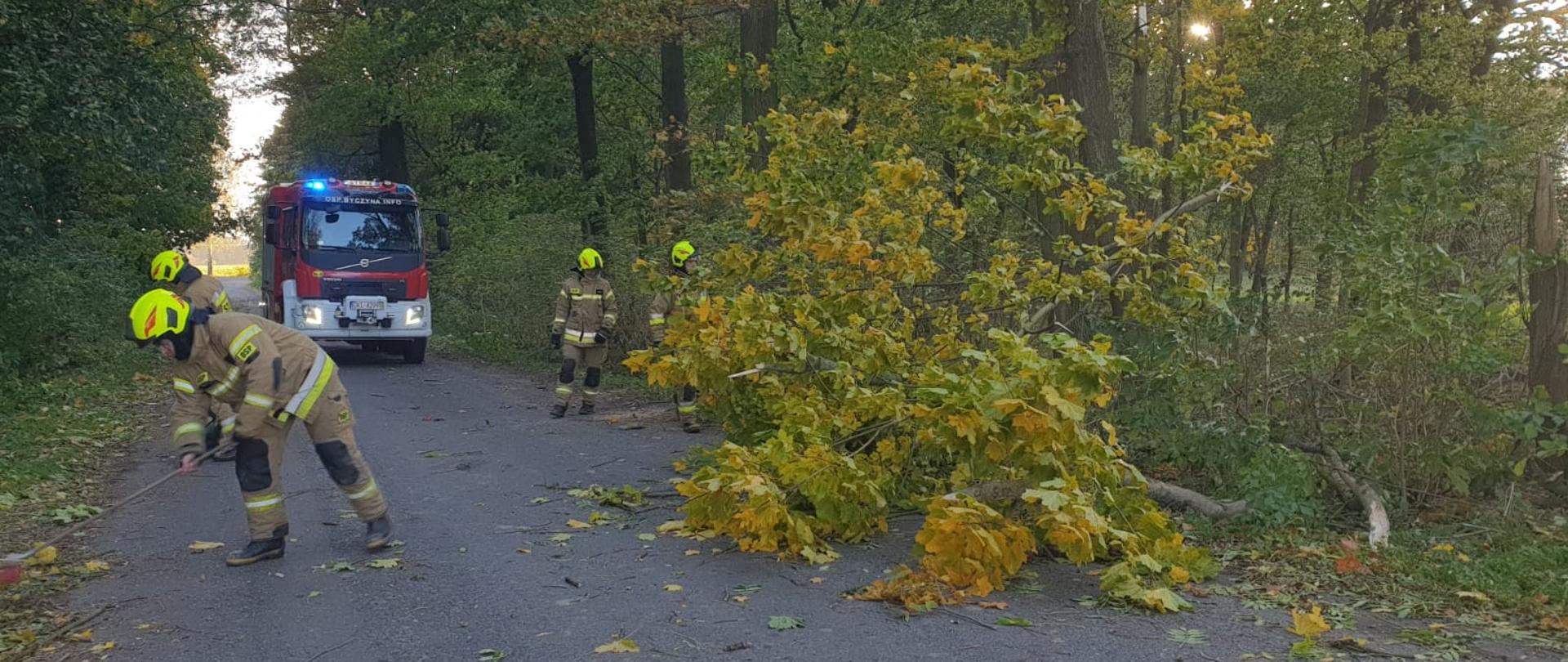 Strażacy usuwają skutki silnego wiatru