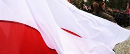 Biało-czerwona flaga