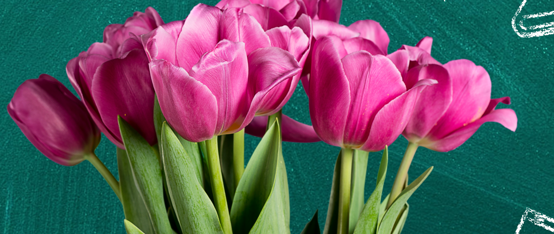 Plakat ciemnozielone tło symbolizujące tablice z widocznymi śladami pościeranej kredzie na pierwszym planie zdjęcie przedstawiające pęk tulipanów w kolorze fioletowym napis Szanowni nauczyciele rodzice uczniowie pracownicy Administracji i obsługi z okazji Dnia Edukacji Narodowej Składam serdeczne życzenia zdrowia szczęścia radości satysfakcji z wykonywanej pracy pogody ducha i niegasnącego zapału do edukacji dyrekcja Państwowej Szkoły Muzycznej i drugiego stopnia mienia Witolda Lutosławskiego w Nysie