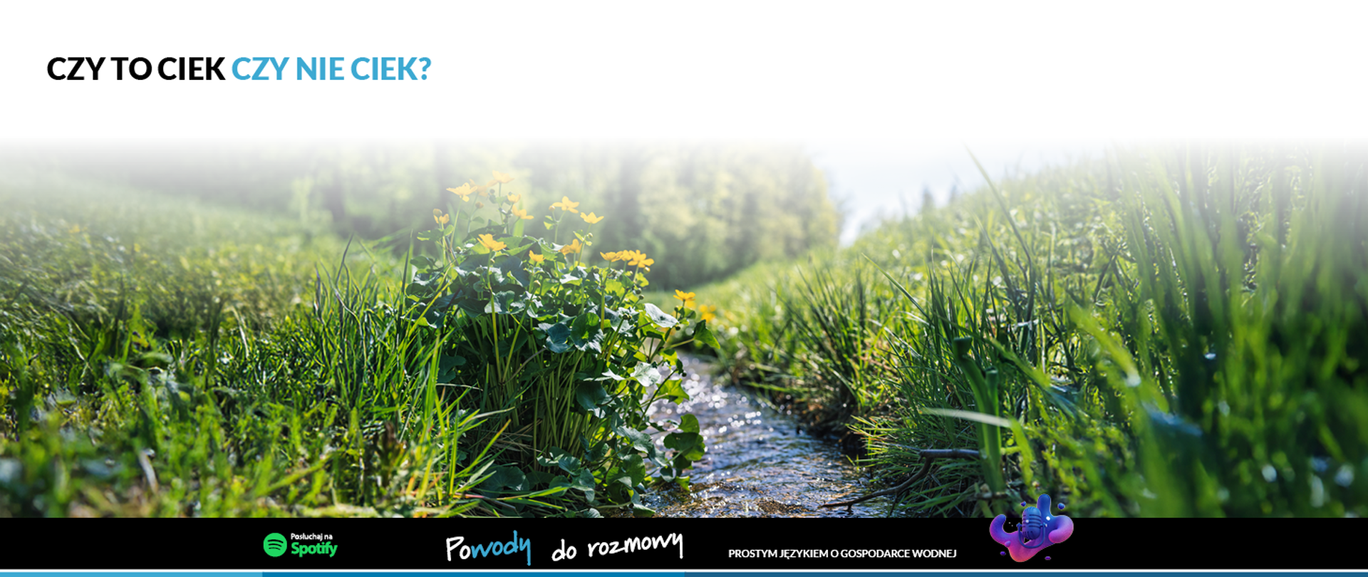 Powody do rozmowy odc. 10 infografika