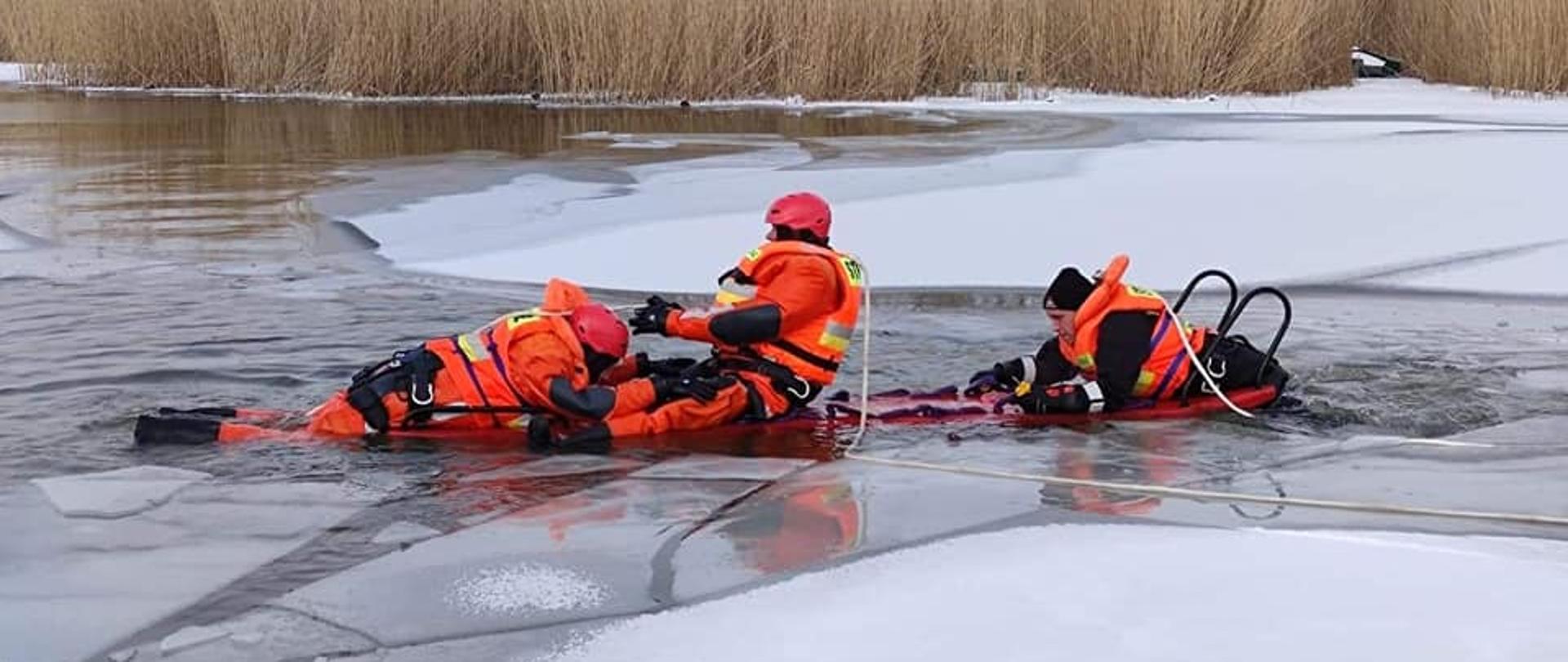 cwiczenialodowe4090221