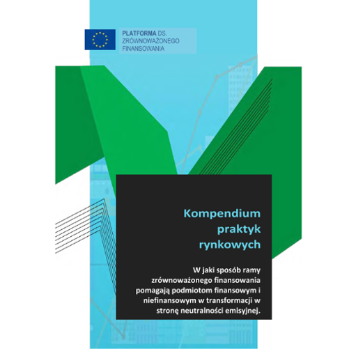 Zdjęcie przedstawia okładkę dokumentu na której znajduje się tytuł, logo Platformy ds. Zrównoważonego Finansowania oraz wizualne elementy graficzne tworzące tło.