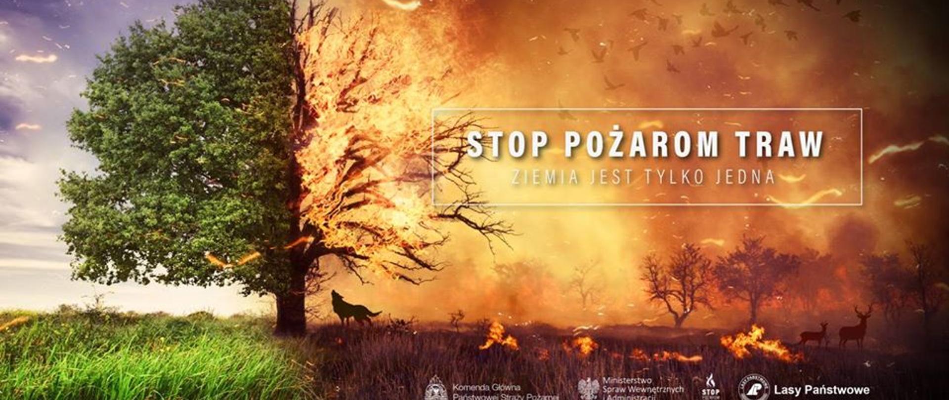 STOP POŻAROM TRAW