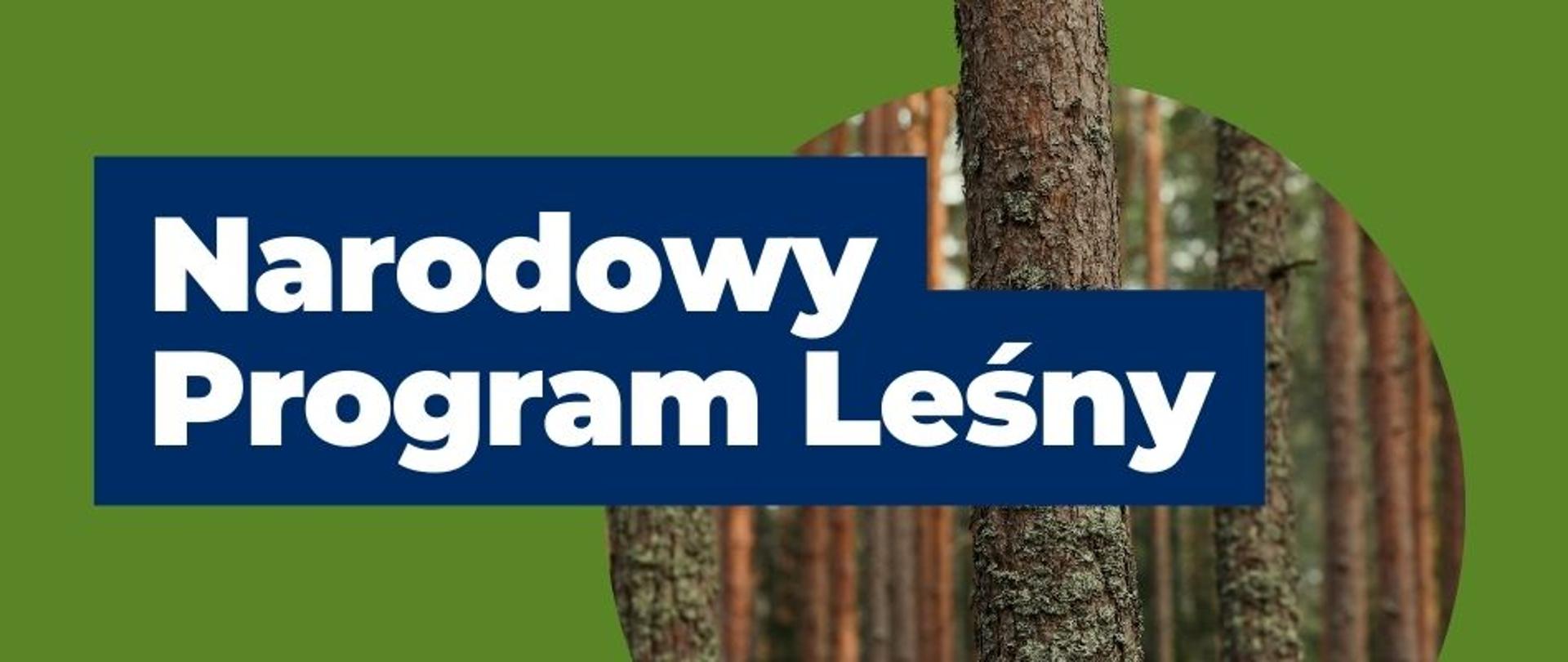 Narodowy Program Leśny 