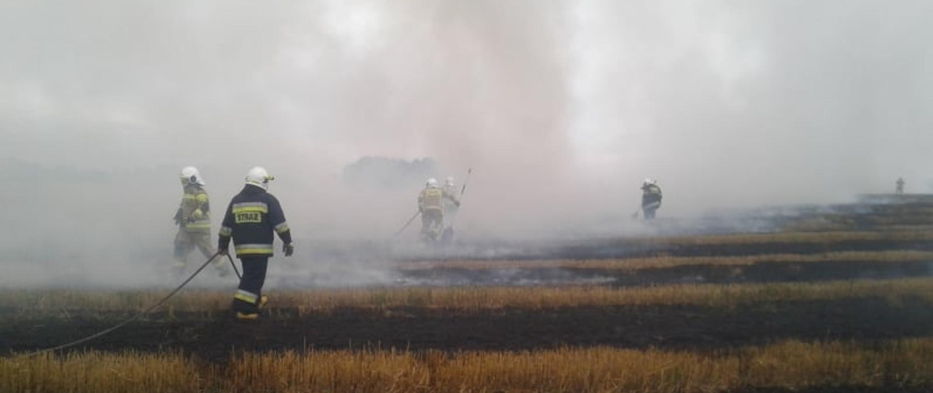 Na zdjęciu widać spalone ściernisko oraz strażaków, którzy dogaszają pożar za pomocą tłumic