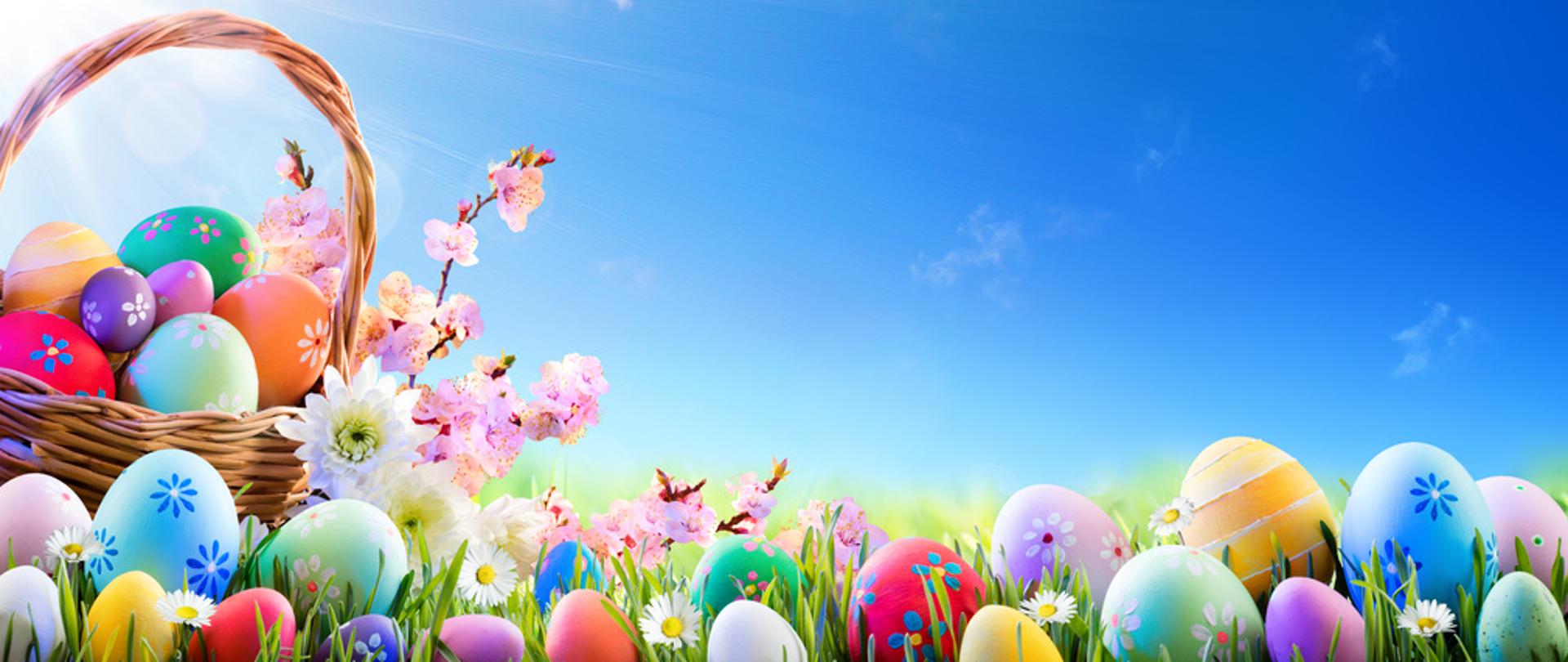 Opis zostanie dodany niebawem