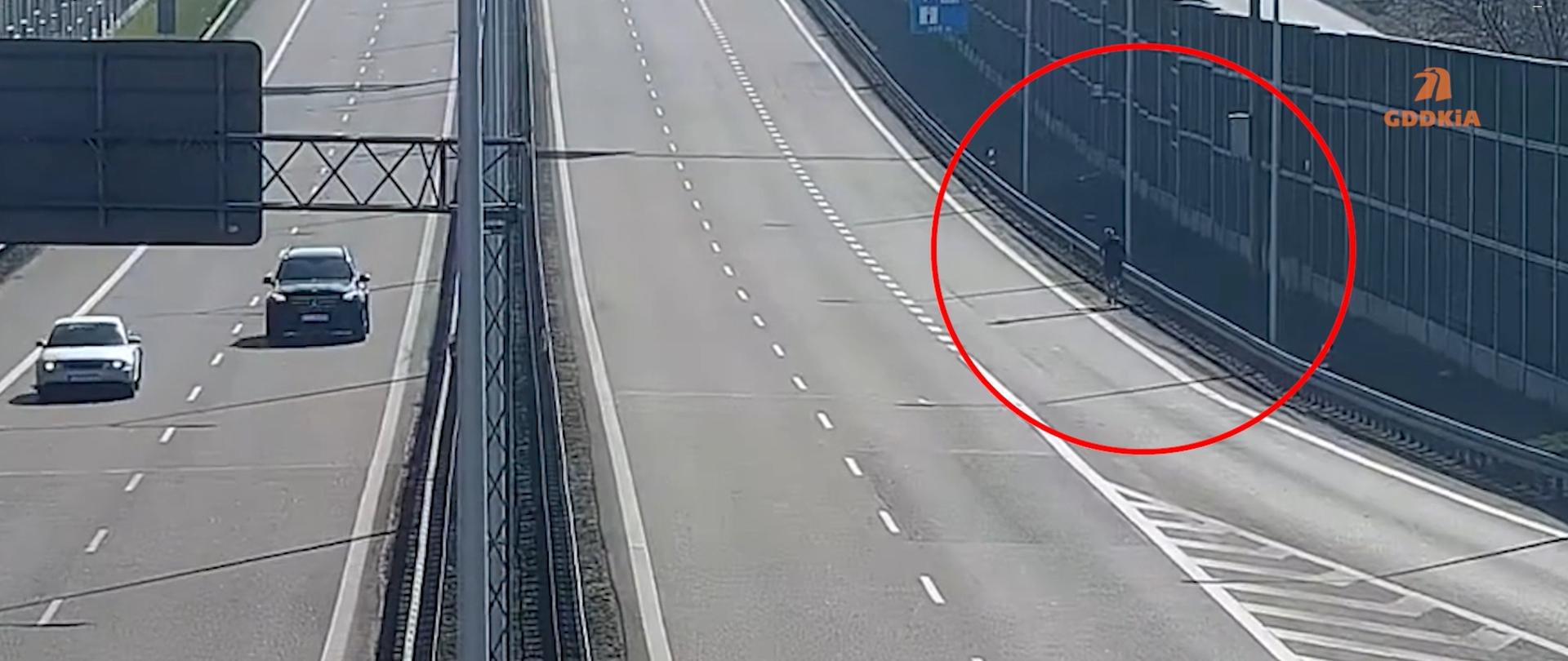 Biegacz na S12 koło Lublina