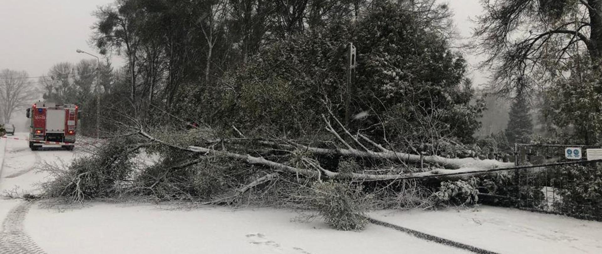 Zdjęcie przedstawia teren działań po obaleniu się drzewa na słup energetyczny przy wejściu na cmentarz komunalny w Szczytnie