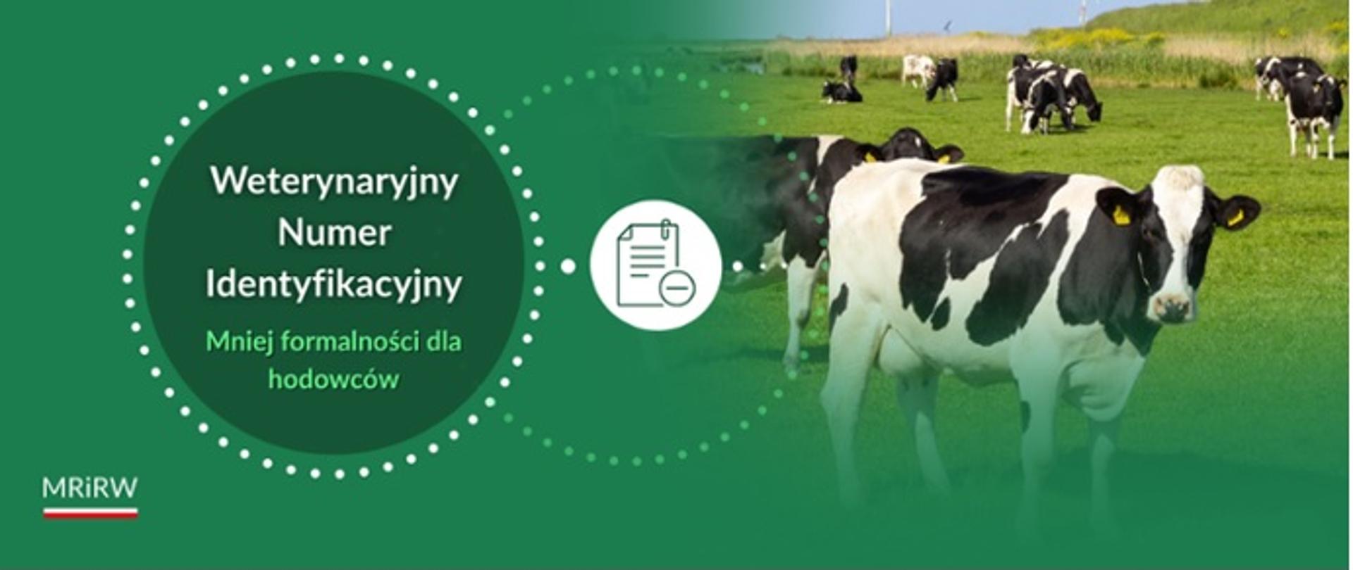 Weterynaryjny Numer Identyfikacyjny -MRiRW