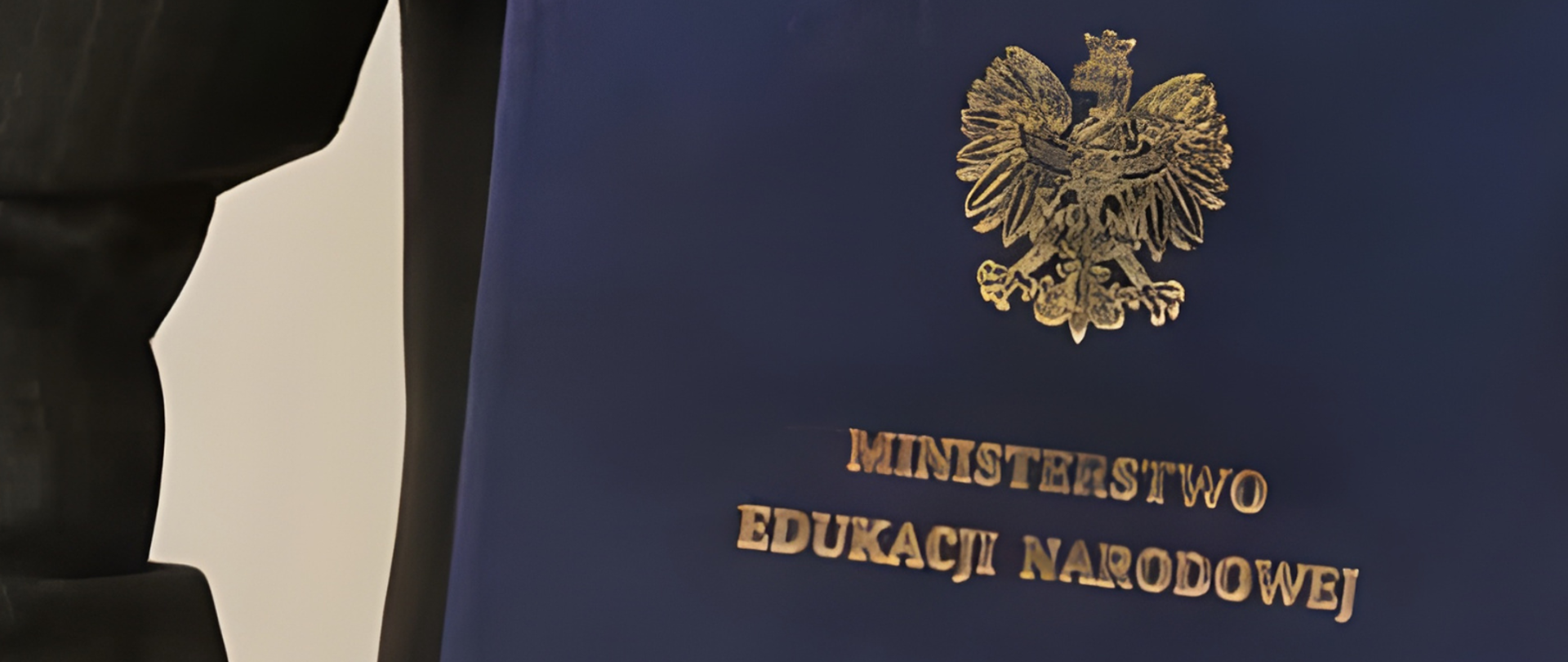 Honorowy Profesor Oświaty