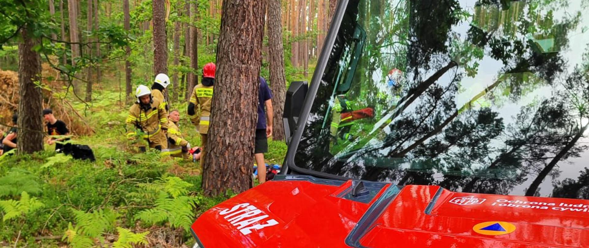 Zdjęcie przedstawia działania ratunkowe w gęstym lesie z udziałem straży pożarnej. Na pierwszym planie widoczny jest fragment czerwonego pojazdu terenowego. Na masce pojazdu widnieją białe numery operacyjne „501[P]077”, napis „STRAŻ” oraz niebieski emblemat z białym krzyżem w okręgu. Na dachu pojazdu włączone są niebieskie światła sygnalizacyjne. W tle, za pniem drzewa, widać grupę strażaków w piaskowych mundurach bojowych i hełmach, którzy pochylają się nad osobą poszkodowaną leżącą na ziemi. Sceneria to słoneczny dzień w lesie sosnowym z gęstym poszyciem z paproci. Zdjęcie wykonano z perspektywy zza maski pojazdu, co nadaje mu charakter reportażowy.