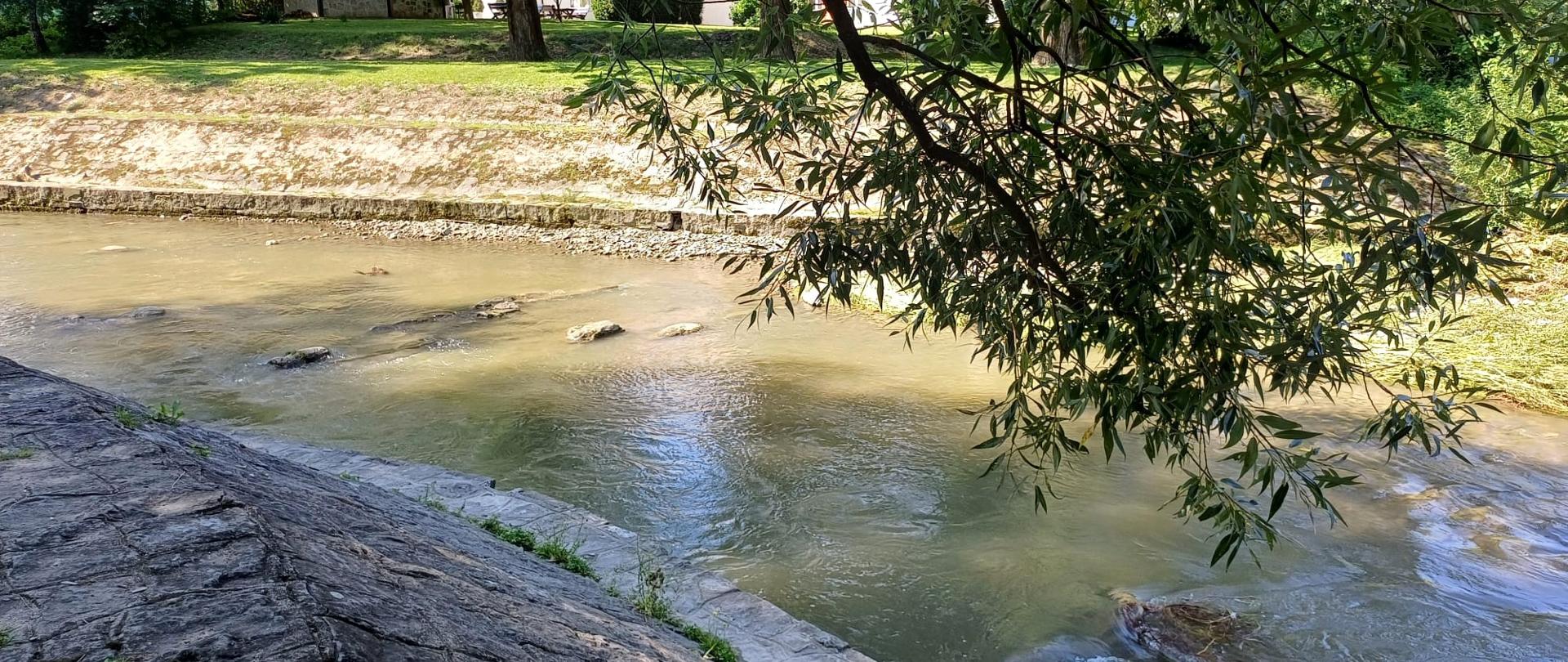 Umowa na projekt przebudowy stopnia wodnego na potoku Sękówka