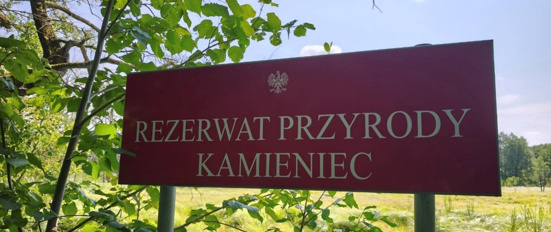 Rezerwat przyrody Kamieniec