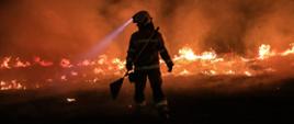 Na zdjęciu widać strażaka w umundurowaniu bojowym. Za strażakiem widać palącą się łąkę. Zdjęcie wykonane w nocy podczas działań gaśniczych. Strażak trzyma w ręku tłumicę, którą ma zamiar gasić pożar. 