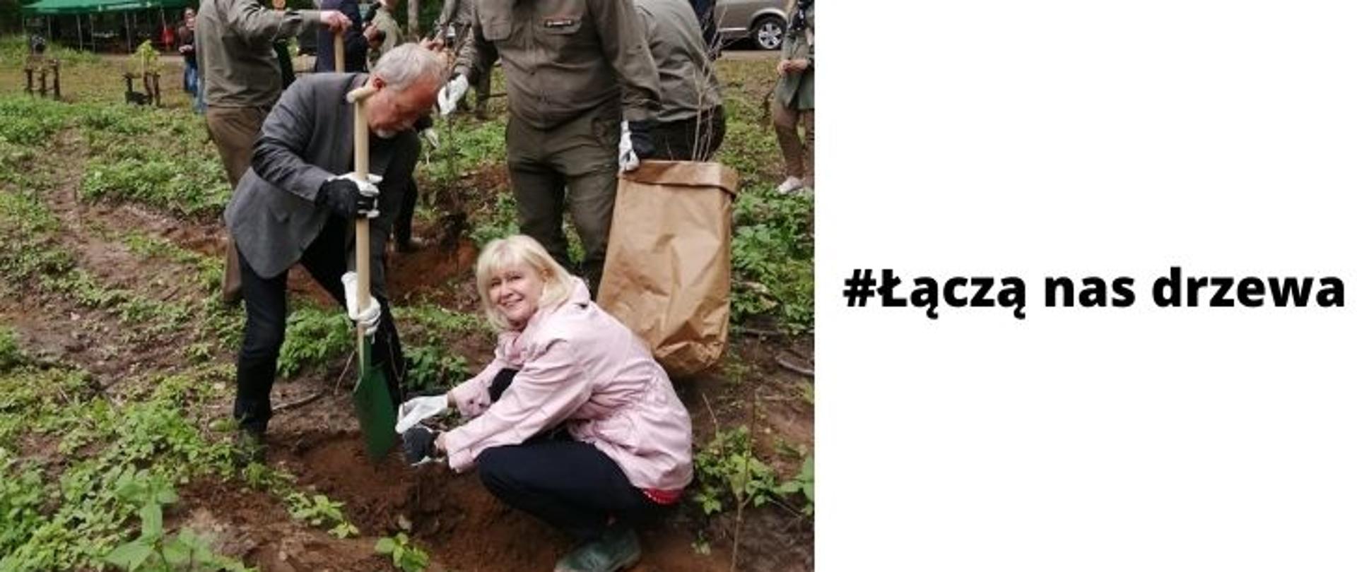 Zdjęcie podzielone jest na 2 części. Lewa część przedstawia zdjęcie Regionalnego Dyrektora Ochrony Środowiska w Olsztynie kucającą podczas sadzenia drzewka. Pani Dyrektor ma blond włosy, różową kurtkę, czarne spodnie, gumaki. W prawej części umieszczono nazwę akcji "Łączą nas drzewa". Tytuł poprzedzono hasztagiem. 