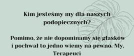 terapeuta środowiskowy