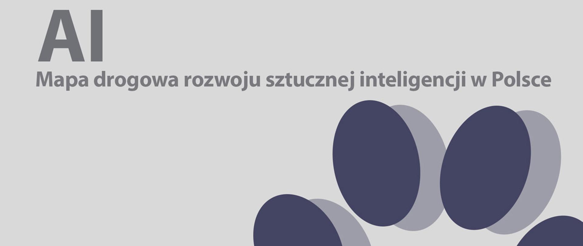 Rozwój sztucznej inteligencji w Polsce