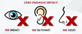 Ogólnopolska kampania edukacyjno-informacyjna Państwowej Straży Pożarnej "Czujka na straży Twojego bezpieczeństwa".