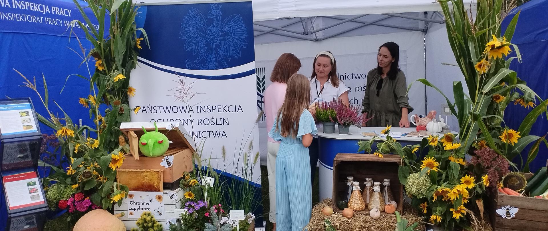 Stoisko promocyjne WIORiN.