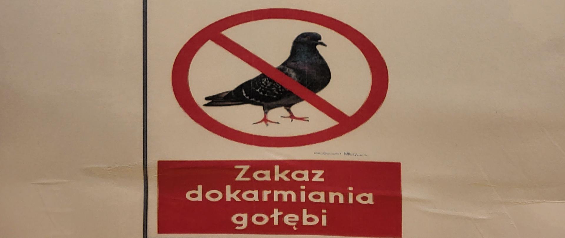 Zakaz dokarmiania gołębi
