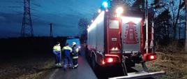 Zdjęcie przedstawia wóz strażacki i stojących obok pracowników energetyki praz strażaka