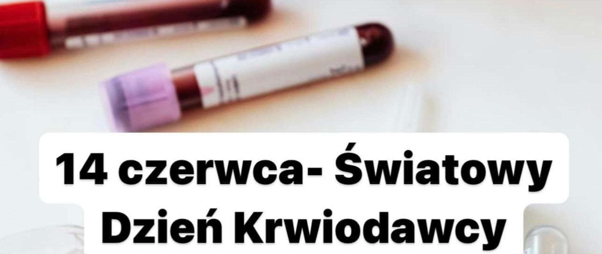 dzienkrwiodawcy2024