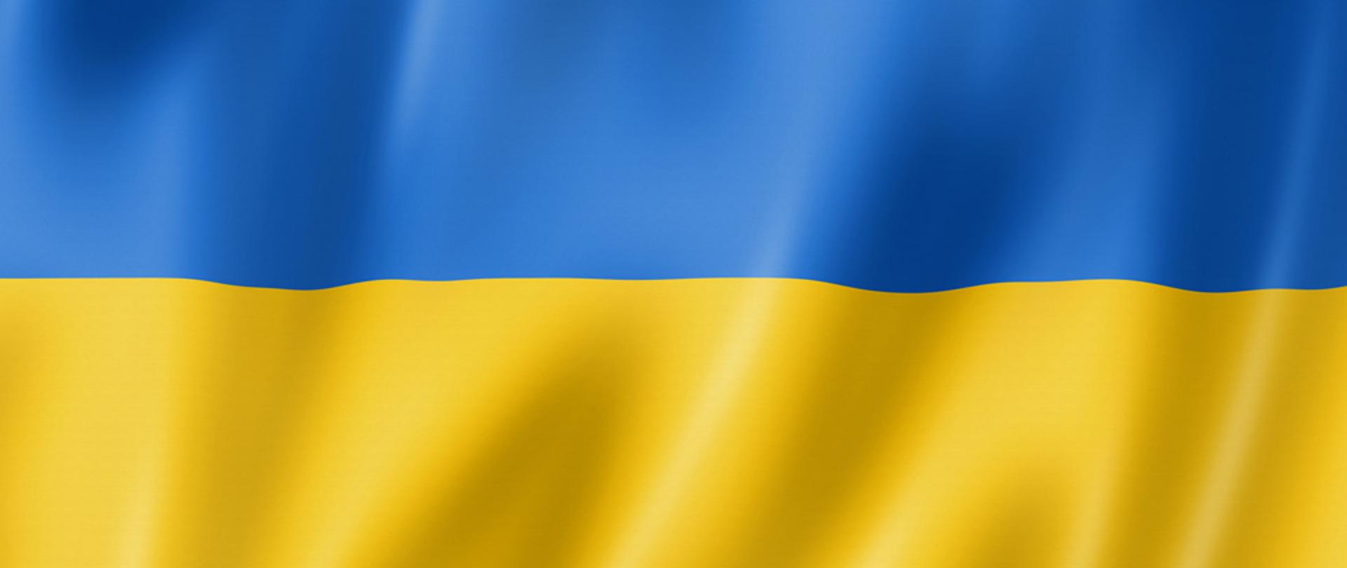 Blue and yellow flag