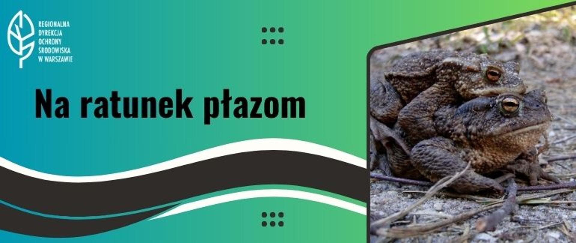 Zdjęcie dwóch żab na sobie, grafika w postaci czarno-białej fali, logo i tekst : Na ratunek płazom