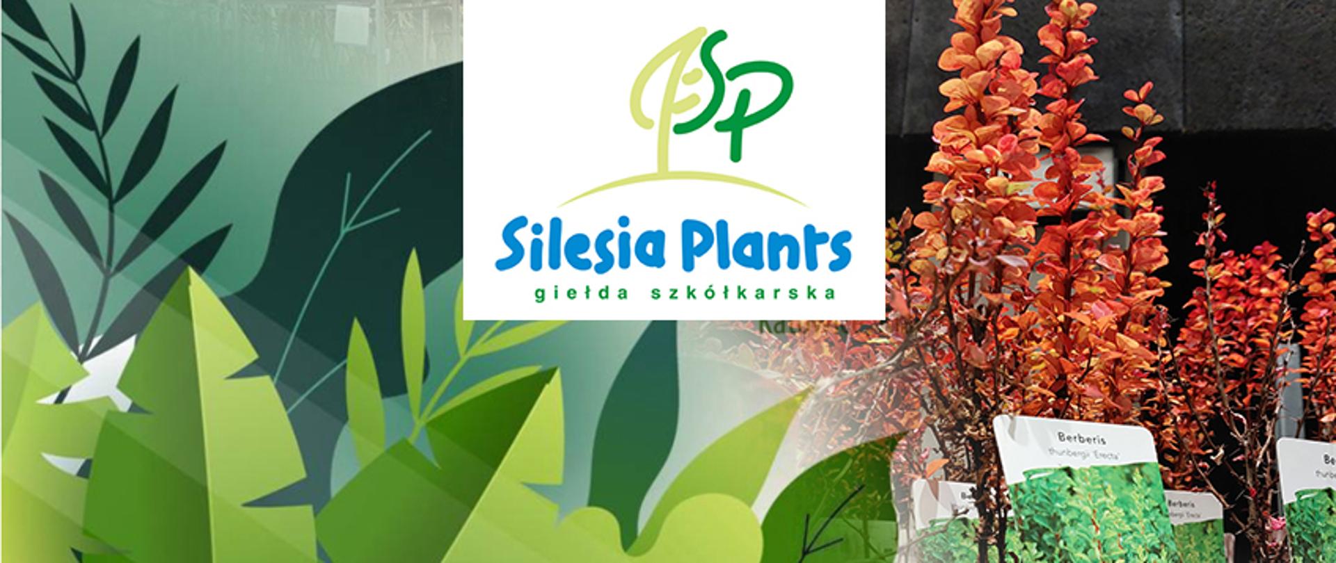 SILESIA PLANTS - wystawa szkółkarzy, baner tytułowy, w tle grafika z zielonymi liśćmi roślin zdjęcie z pomarańczowym berberysem