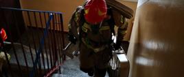 
Na zdjęciu strażaka wchodzącego po schodach z noszakiem wężowym w umundurowaniu bojowym. W drugiej ręce strażak trzyma urządzenie burzące typu Holligan.
