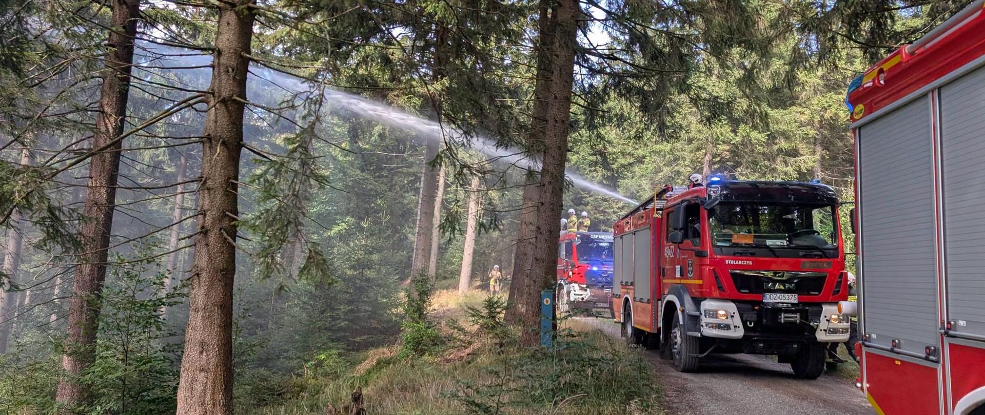 Zdjęcie przedstawia prowadzoną z leśnej drogi akcję gaśniczą w gęstym, iglastym lesie. Z wozu strażackiego marki MAN podawany jest pod wysokim ciśnieniem gruby strumień wody, kierowany wysoko w korony drzew. Pomiędzy pniami unosi się jasny dym lub opadająca mgła wodna. W głębi kadru, na drodze widoczny jest kolejny wóz strażacki oraz pracujący strażacy. Promienie słońca przebijają się przez drzewa, rozświetlając unoszący się dym