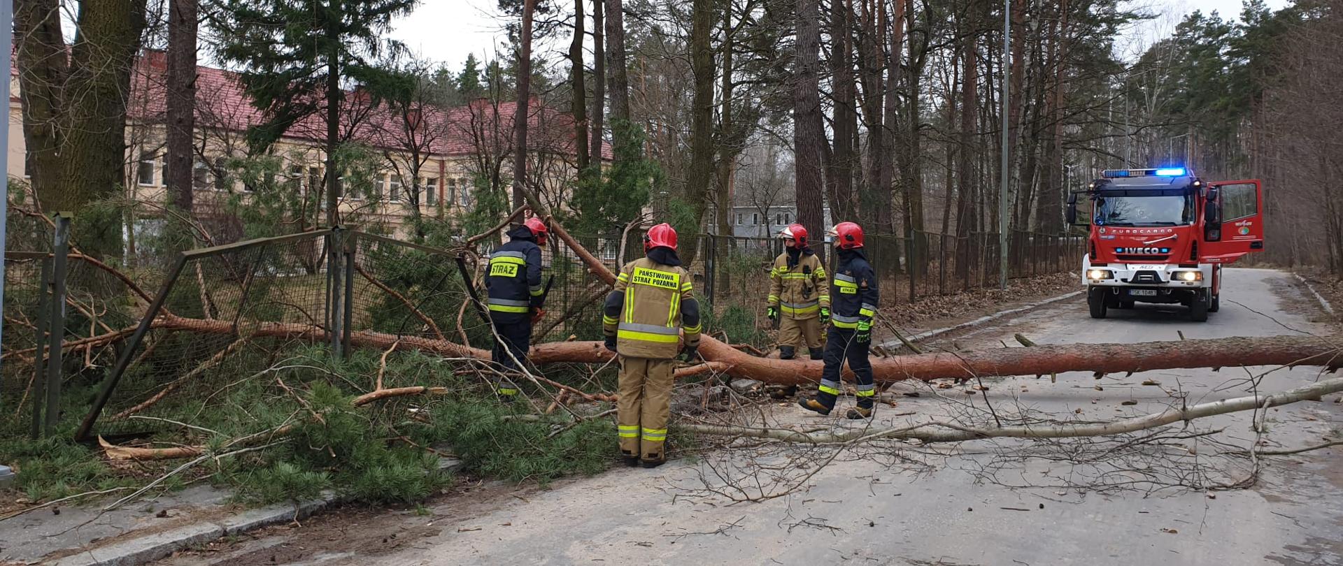Na pierwszym planie widzimy czterech strażaków w umundurowaniu bojowym usuwających powalone drzewo na jezdnie. W tle czerwony samochód strażacki.