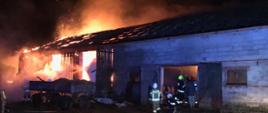 Widok płonącej stodoły, strażacy wchodzą do wewnątrz budynku z linią gaśniczą, przed wrotami stoją dwie przyczepy rolnicze, połowa budynku jest cała w ogniu