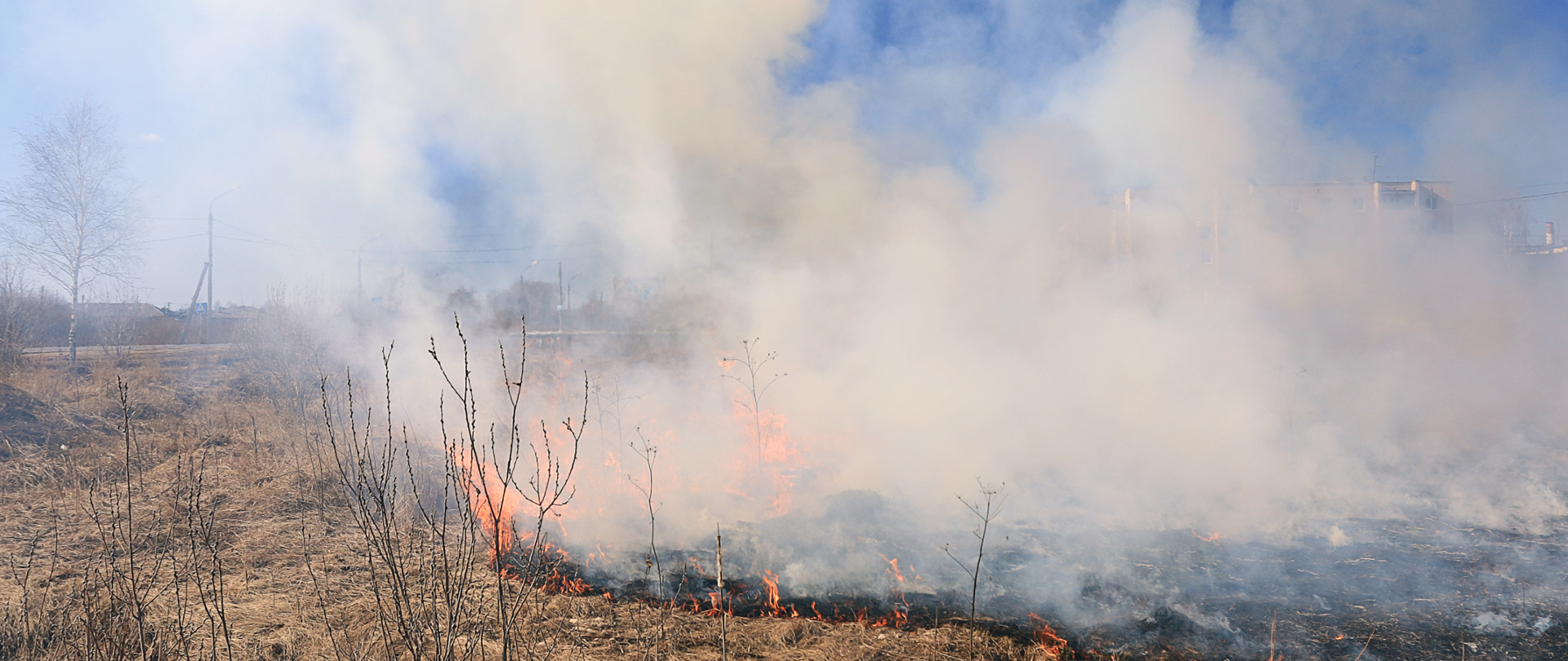 Silny wiatr nad Polską